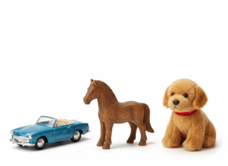 Ednina – dvojina – množina